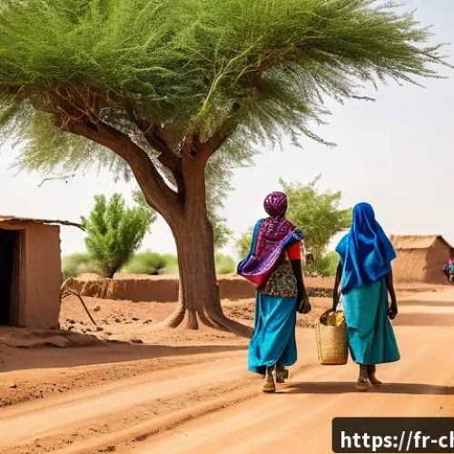 차드에서의 국제 개발 프로젝트 - A vibrant rural scene in Chad showing a newly constructed dirt road connecting isolated villages, wi...