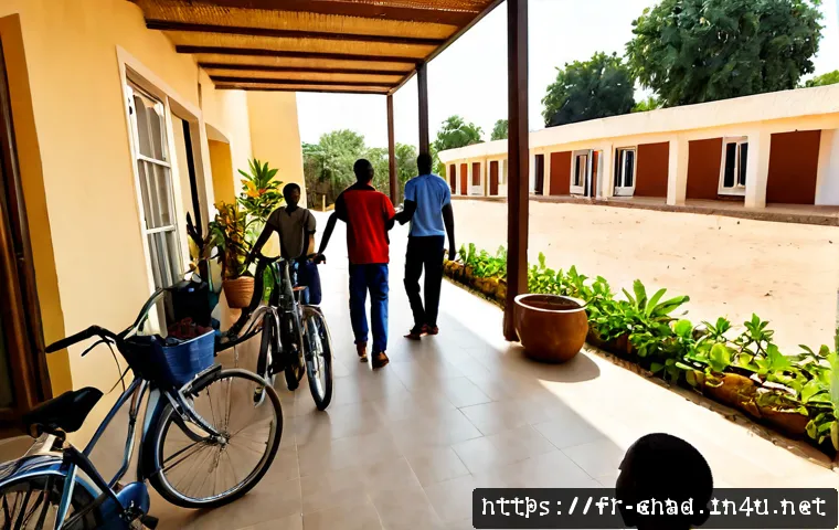차드의 외국인 거주 환경 - Photorealistic wide-angle scene of a welcoming expatriate neighborhood in N'Djamena, Chad, a diverse...